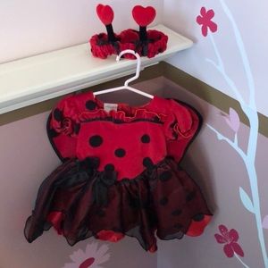 Koala Kids Lady Bug Costume size 12-18mo